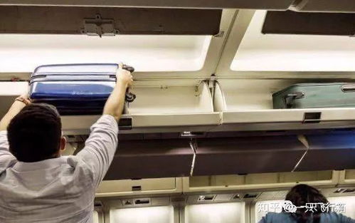 飛機上的十二個隱藏菜單你都知道啊 轉給ta看看吧