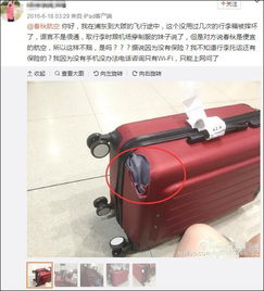 飛機托運行李近500噸 看到個炫富比王思聰還6的了