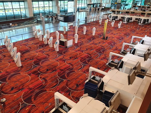 酷航積極強(qiáng)化防疫措施 全力保障旅客和機(jī)組人員健康出行