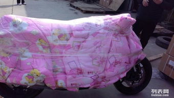 圖 武昌區(qū)專業(yè)托運(yùn)電腦冰箱空調(diào)婚紗照相框電動車摩托車行李包裹上門 武漢快遞